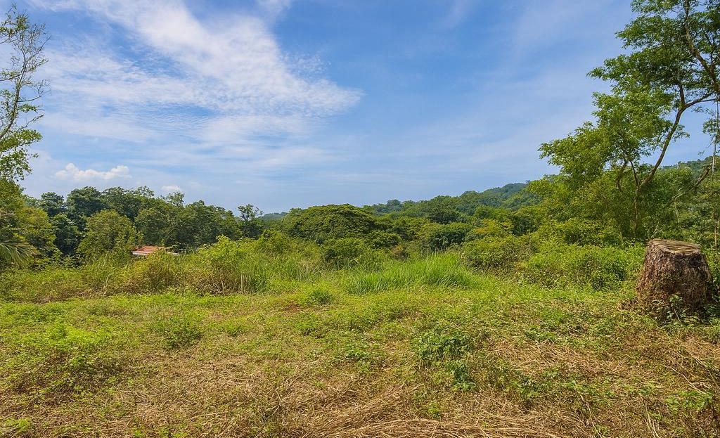 038 m² Lot in Bosque del Lago – Privacy