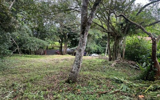 Opportunity, lot for sale in La Mallorquina, Esparza