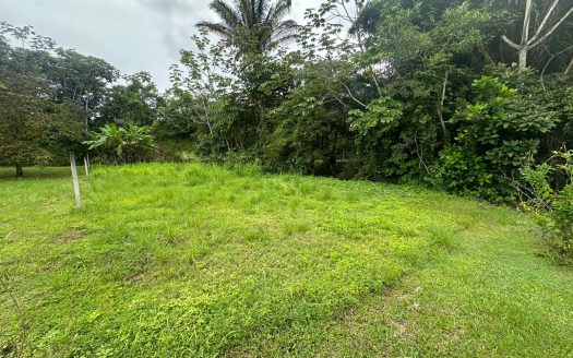 Opportunity, land for sale in Esparza, Condominio La Mallorquina