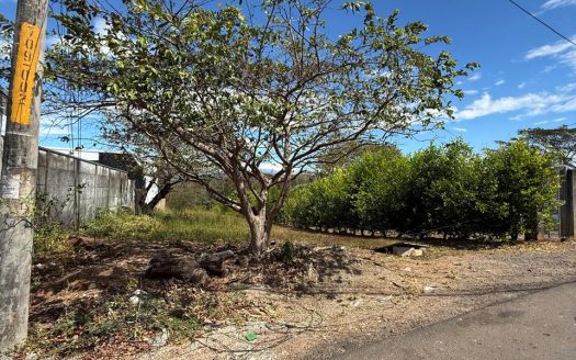 Beautiful Land for Sale in Juanilama, Esparza – Calle Molejones!