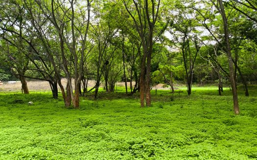 FINCA BUENA VISTA BEACH-MOUNTAIN