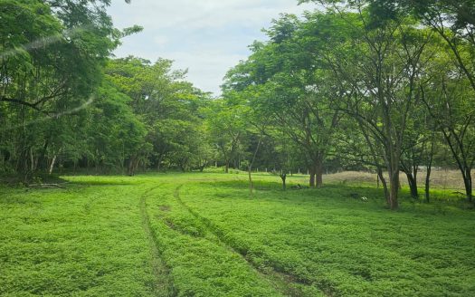 FINCA BUENA VISTA BEACH-MOUNTAIN Guanacaste | REMAX