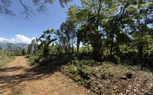 Lot: 10,718 m² with Mountain Views and Fruit Trees for Sale in Las Mercedes de Cajón – Highly Peaceful Area