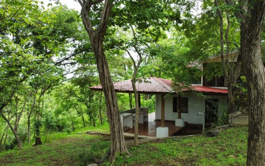 For Sale: Jungle Paradise in Playa Marbella