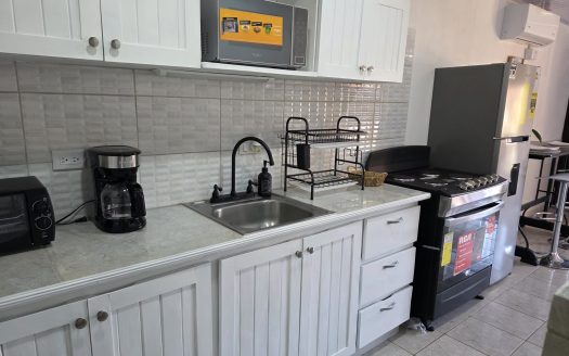Brand New Remodeled 1-Bedroom + Loft Condo