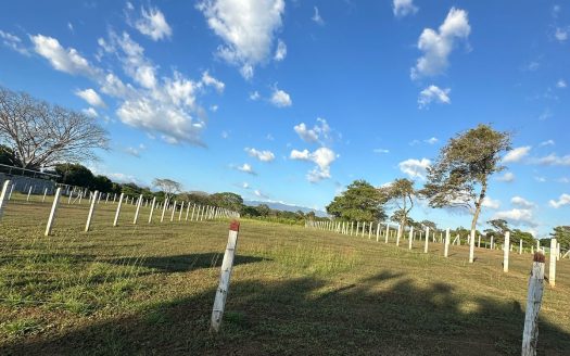 Opportunity, 5 lots for sale Lagunillas, Garabito