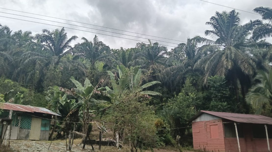 Golfito>Golfito Real Estate Listings 30221