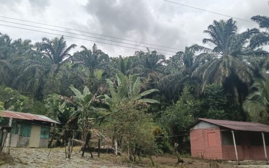 Golfito>Golfito Real Estate Listings 30221