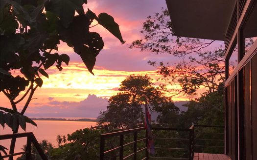 Stunning Glass-Front Home With Ocean Views in the Hills of Golfito