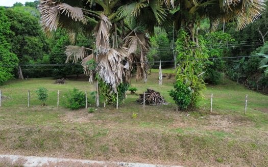 Golfito>Golfito Real Estate Listings 30706