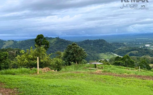 Land for Sale with Fruit Trees, Water Stream & Stunning Views in San Ramón de Río Claro, Costa Rica