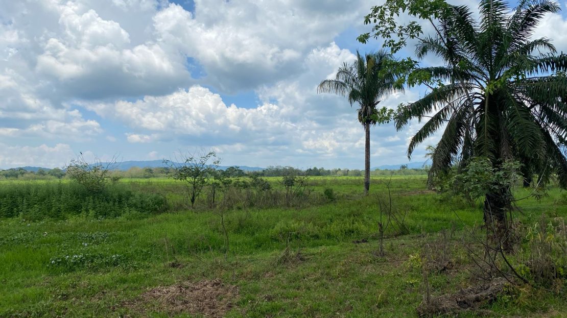 Golfito>Guaycará Real Estate Listings 30277