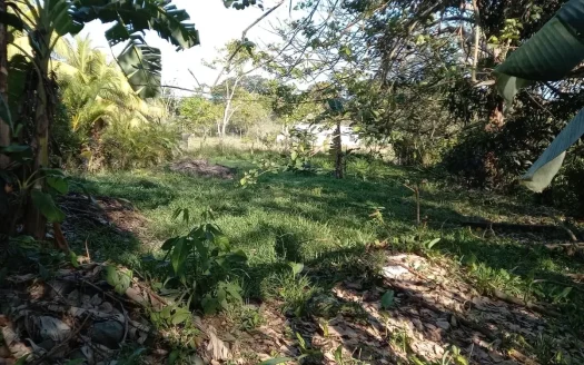 Ocean view Lot in Cocal Amarillo