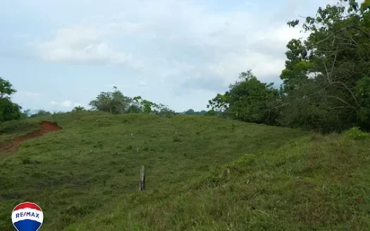 Quiet Ocean View Lot