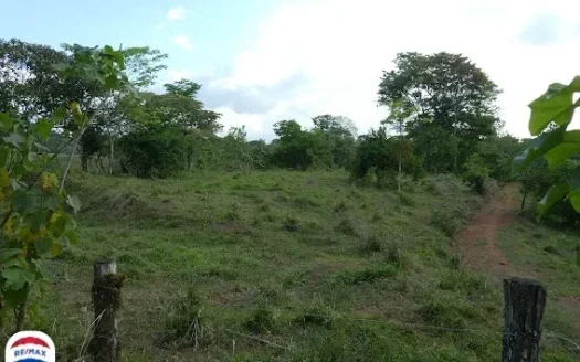Cuervito Farm and Ocean View