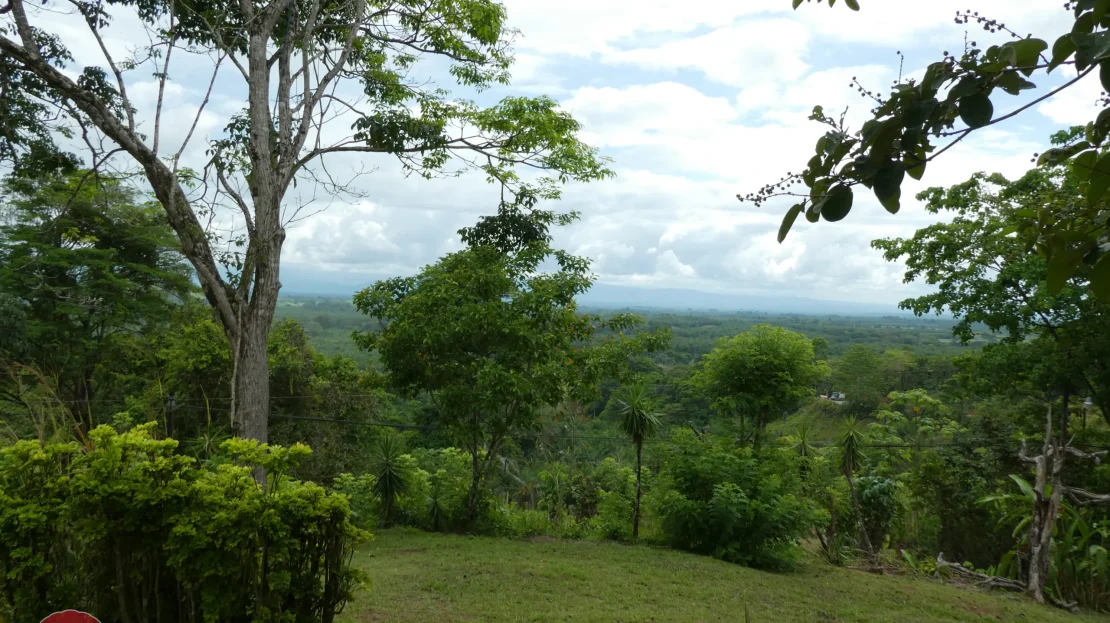 Golfito>Pavones Real Estate Listings 23245