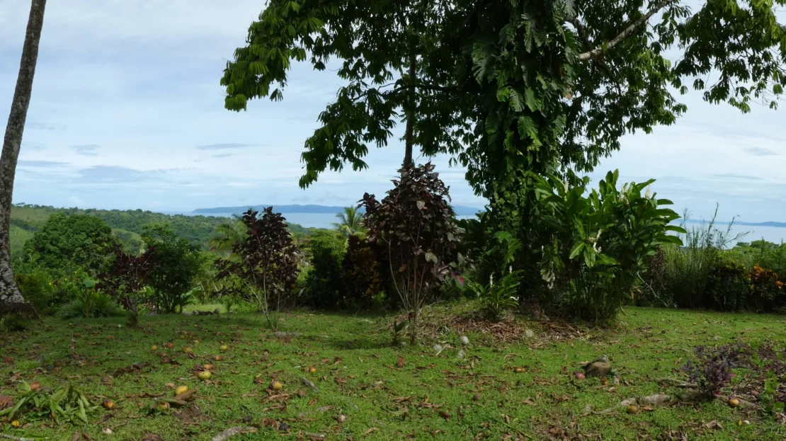 Golfito>Pavones Real Estate Listings 23558