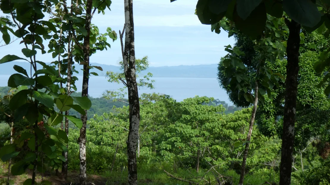 Golfito>Pavones Real Estate Listings 23575