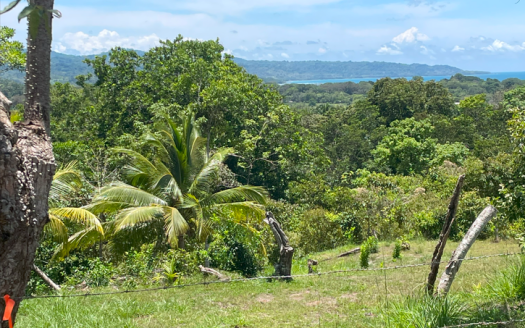 Ocean View Buildable Lot