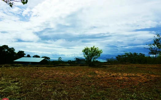 Golfito>Pavones Real Estate Listings 23903