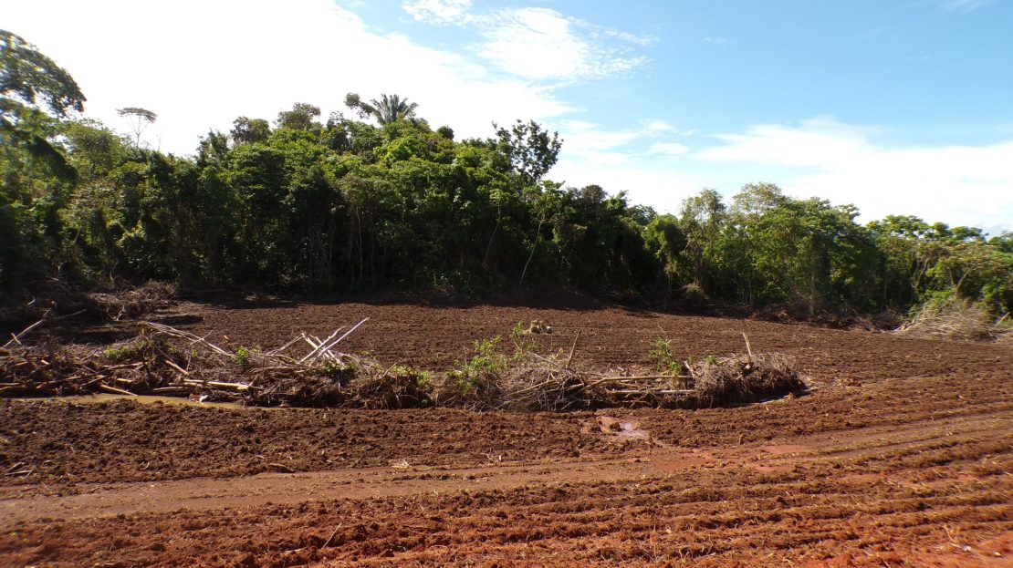 Golfito>Pavones Real Estate Listings 26220