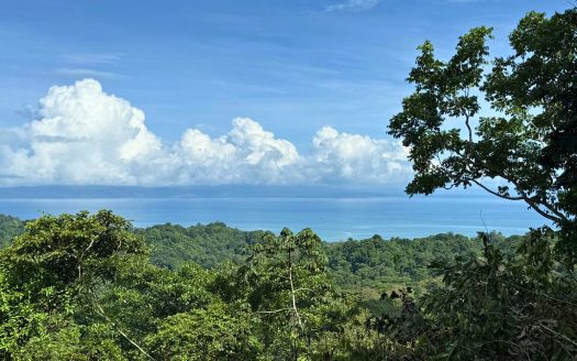 Golfito>Pavones Real Estate Listings 28454