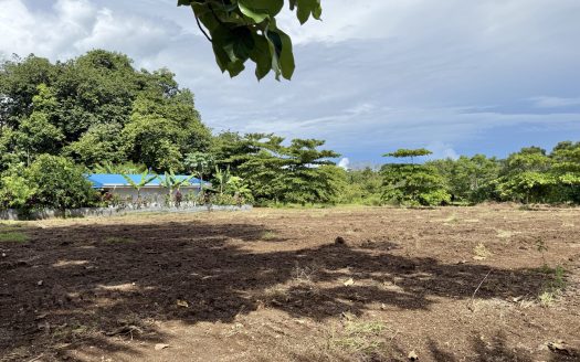 Golfito>Pilón Real Estate Listings 28593