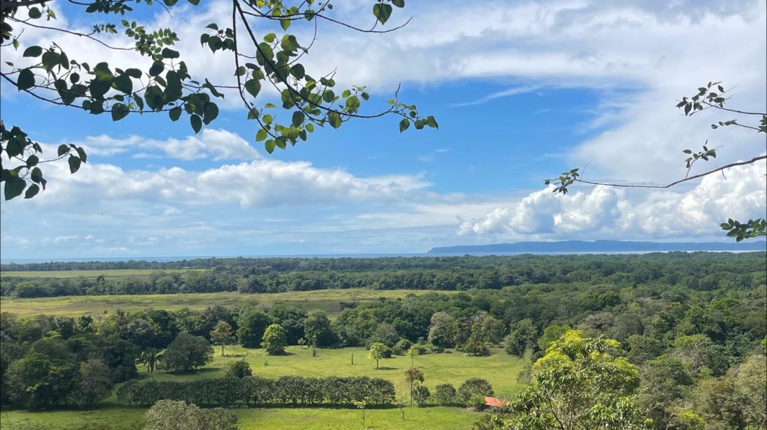 Golfito>Pilón Real Estate Listings 30524