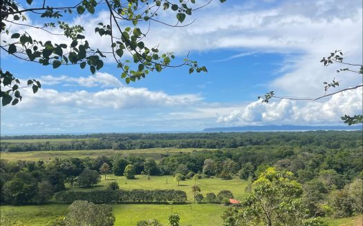 Golfito>Pilón Real Estate Listings 30524