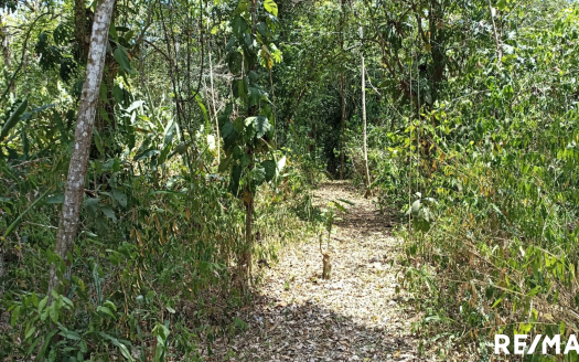 Tranquil Tropics Hideaway Property