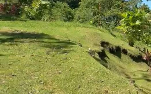 Secret Spot – Nature & Surf Property Near Playa Pavones, 5,095m2