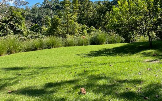 Golfito>Rio Claro de Pavones Real Estate Listings 30497