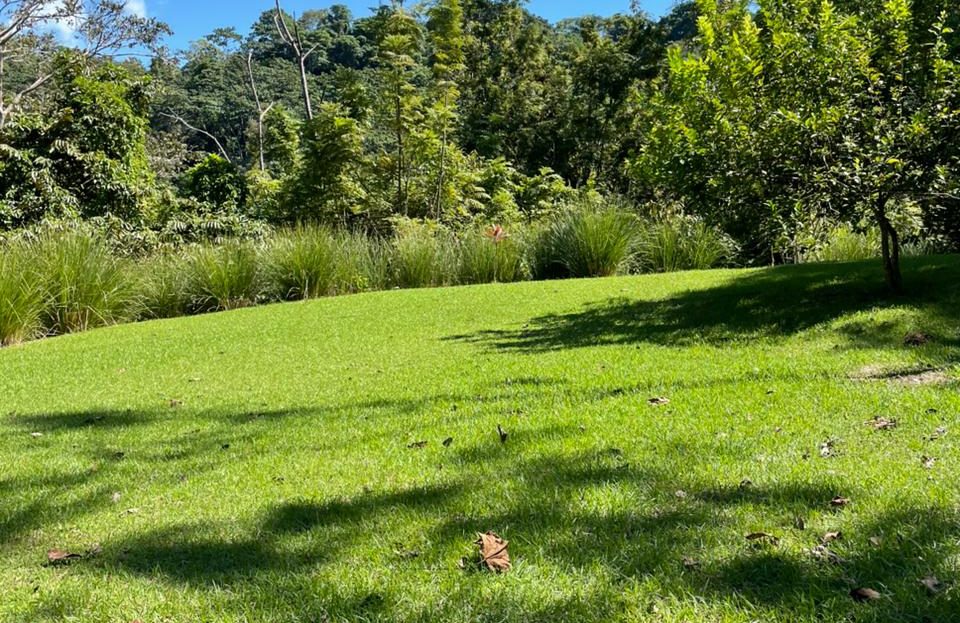 Golfito>Rio Claro de Pavones Real Estate Listings 30497