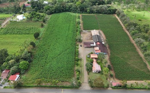 San Carlos - La Fortuna