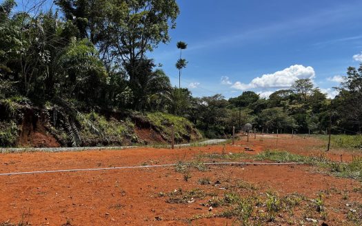 Residential Lot for Sale – 443 m² in Villa Hermosa, Buenos Aires Puntarenas