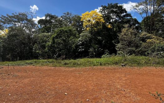 Land for Sale – 385 m² in Villa Hermosa, Buenos Aires Puntarenas-Great Investment Opportunity