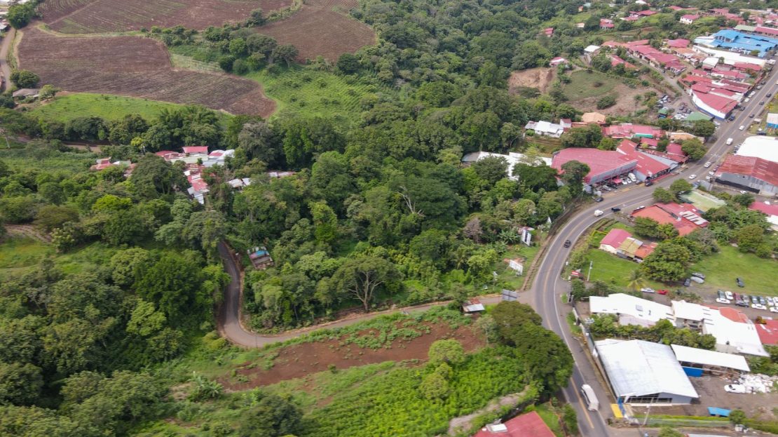 Commercial Farm For Sale