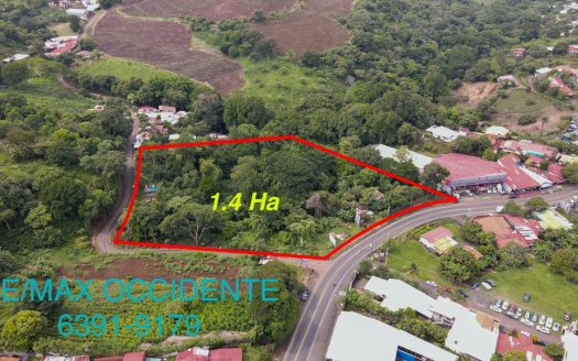 Commercial Farm For Sale , Grecia Costa Rica