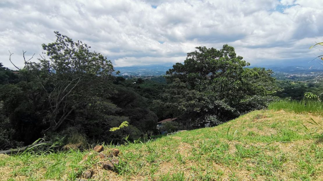 Naranjo