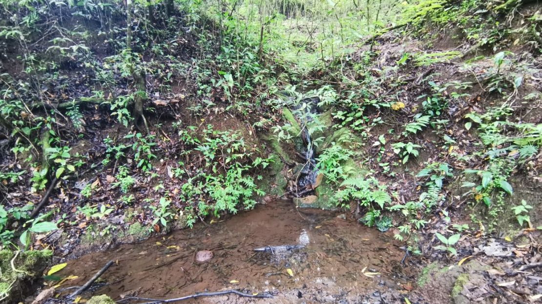 Costa Rica Real Estate