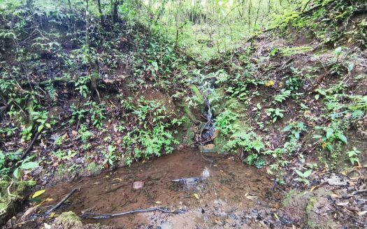 Farm for Sale in Cirrí de Naranjo – “Finca El Monte”, 13.25 Hectares with Waterfalls and Cypress Forest