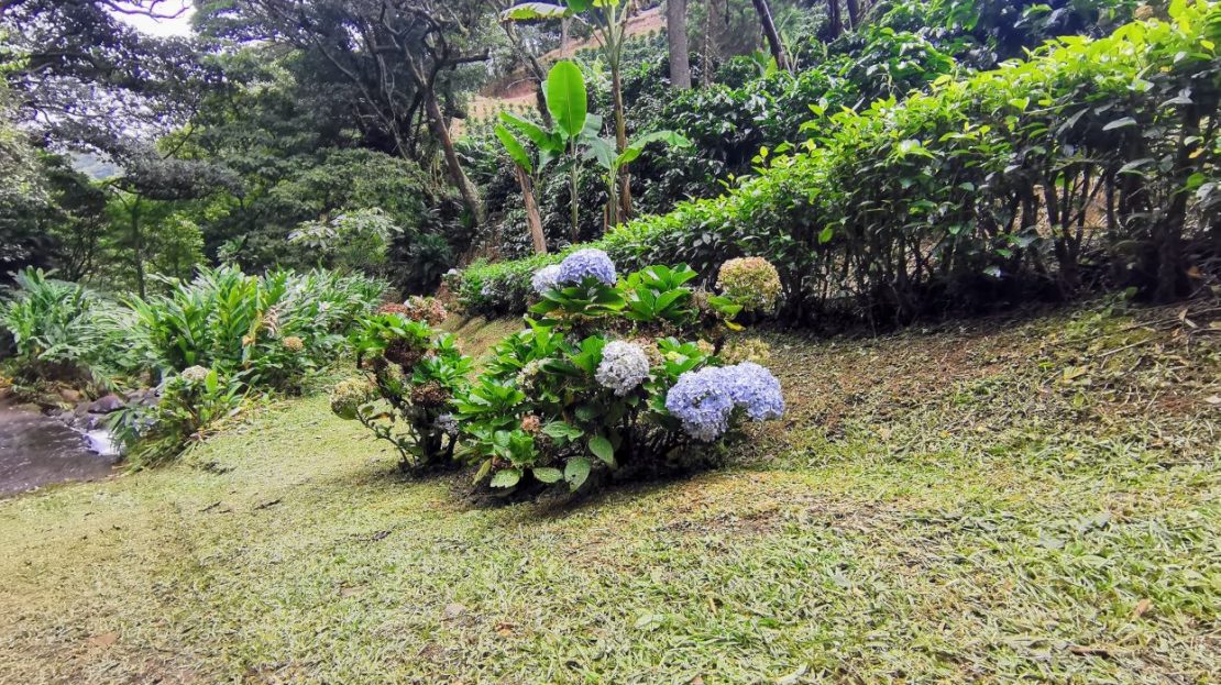 Costa Rica Real Estate