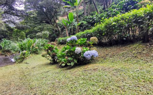 Property for Sale in Sarchí Norte.