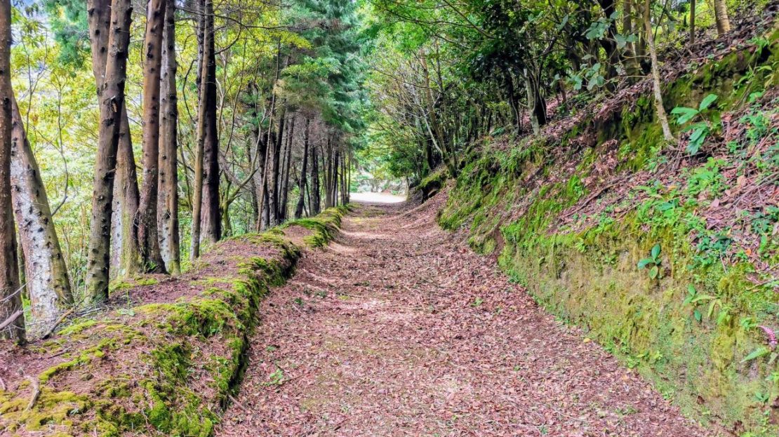 Valverde Vega Sarchí