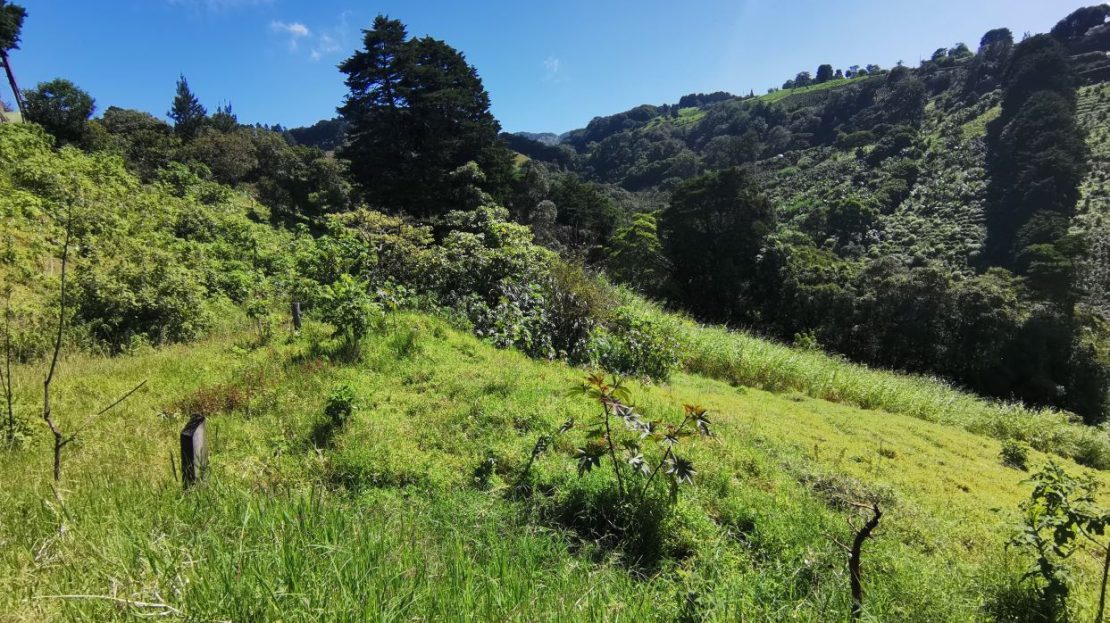 Costa Rica Real Estate