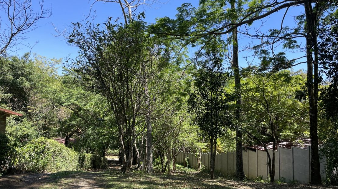 Costa Rica Real Estate