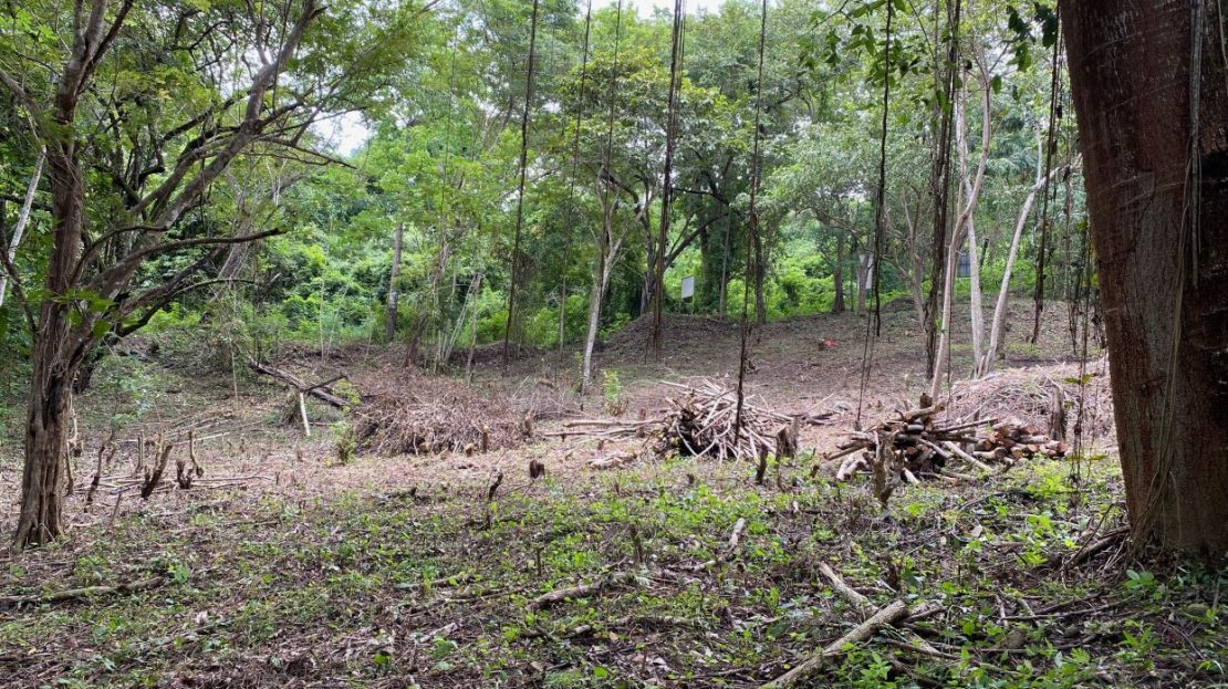 Costa Rica Real Estate