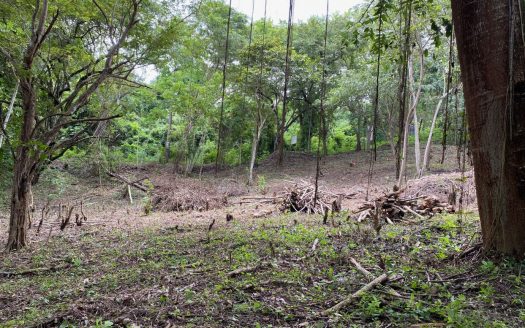 Prime Beachside Land for Sale – Playa Órganos, Costa Rica