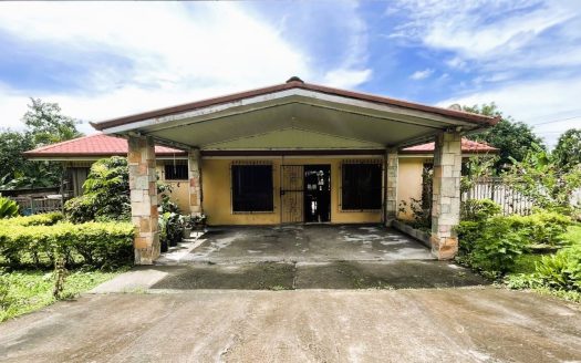 HOUSE FOR SALE IN BUENOS AIRES, PALMARES, ALAJUELA.