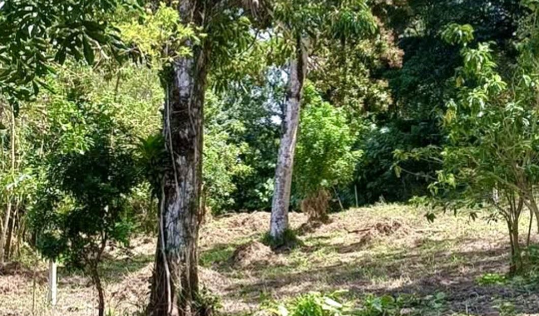 Costa Rica Real Estate